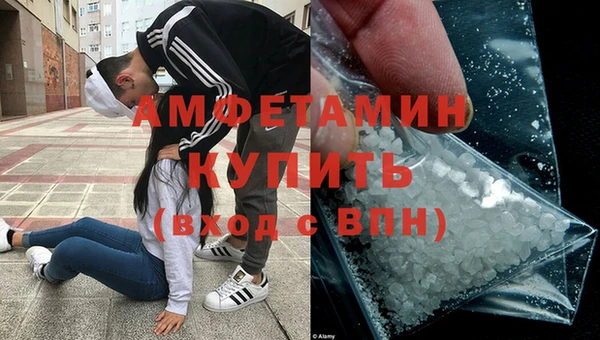 сатива Балахна