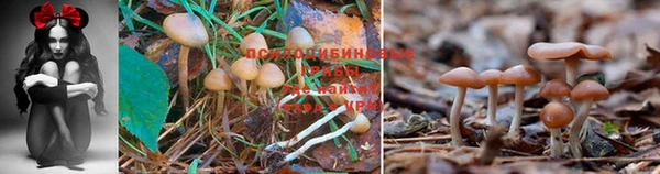 Альфа ПВП Армянск