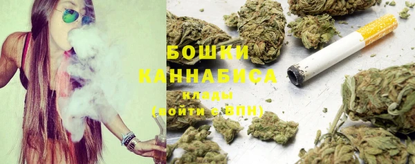 сатива Балахна