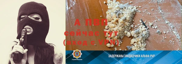 сатива Балахна