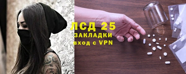 ГАЛЛЮЦИНОГЕННЫЕ ГРИБЫ Аркадак