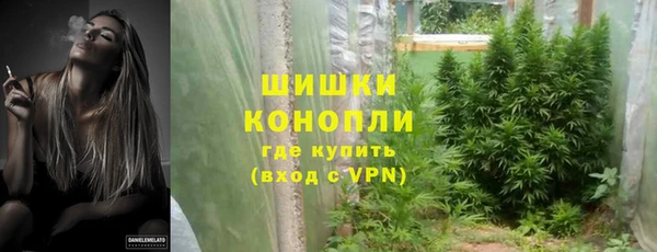 сатива Балахна
