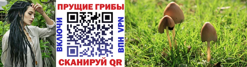 Псилоцибиновые грибы Magic Shrooms  Данков 